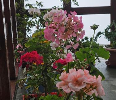 Banjar Casa | Ishan Log Huts-A boutique home stay