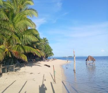 Carti Tupile Cama Y Desayuno | ISLA IGUANA San-blas GUNAYALA Panamá