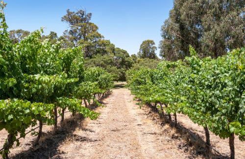 Yelverton Casa | Island Brook Estate Vineyard and Chalets