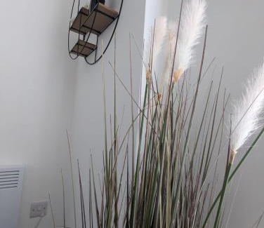 Barwell Apartamento | Island House