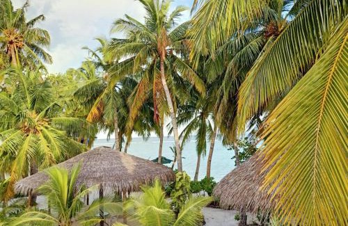 Magoodhoo Casa | Island Life Maldives Retreat & Spa