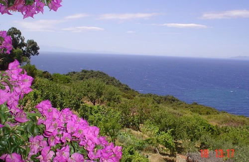 Zanca Apartamento | Isla de Elba en plena naturaleza, inolvidables puestas de sol.