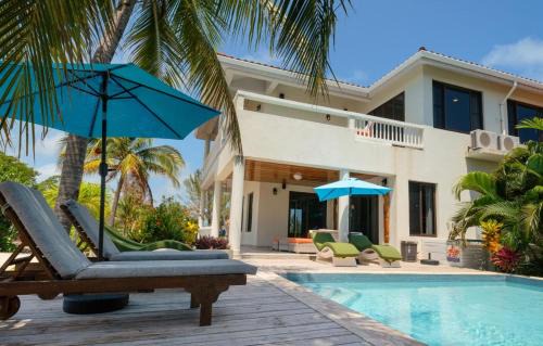 Placentia Casa | Island Time Gecko