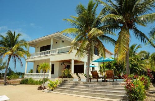 Placentia Casa | Island Time Gecko