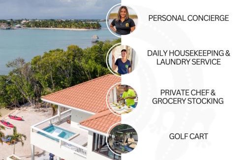 Placentia Casa | Island Time Gecko