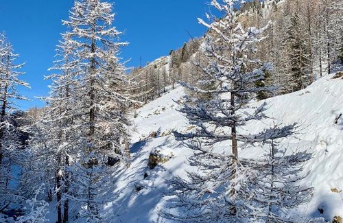Isola Apartamento | ISOLA Front de Neige - STUDIO