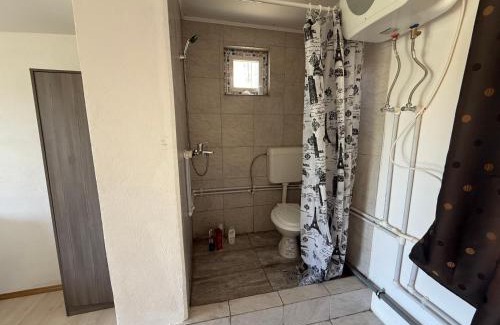 Sangeorgiu de Padure Casa | István