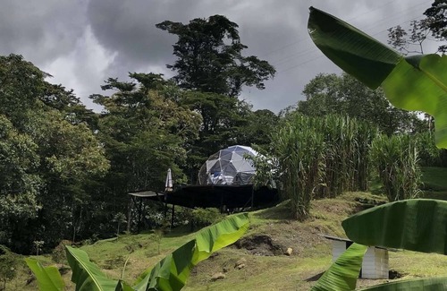 San Francisco Casa | It is a beautiful luxury glamping site located next to a forest reserve and a great view.
