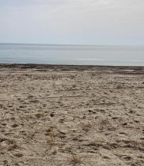 Contrada Taverna Apartamento | Nel villaggio il Monolocale tra gli ulivi