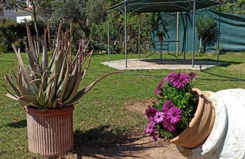 Itea Casa | Itea's Garden House