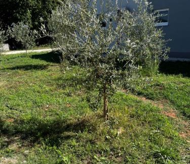 Medjugorje Apartamento | Iva Giulia Apartment