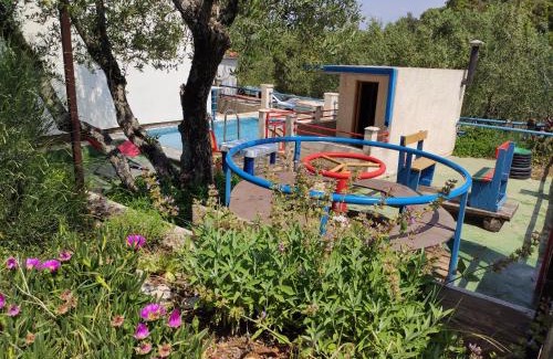 Putnikovic Casa | Iva Lavanda