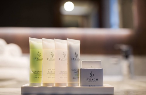 City Centre Dublin Hotel | Iveagh Garden Hotel