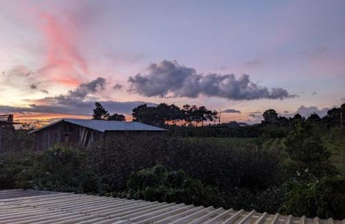 Duc Trong Apartamento | Ivy Coffee Farm - Garden House