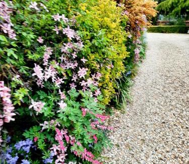 Sleaford Casa | Ivy House Barn, Heckington