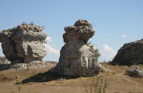 Aguilar de Campoo Cabaña | Casa Hiedra para 8 personas