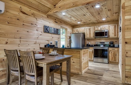 Cosby Cabaña | Ivy's Cottage, Pickleball Court, Creek, WIFI, Mountain Views, Starting at $79"
