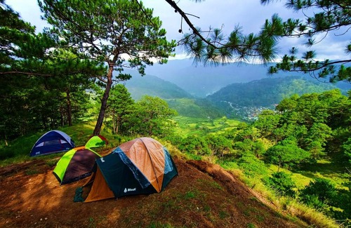 Bauko Otro | IYAMAN FARM NEAR SAGADA MOUNTAIN PROVINCE, PH