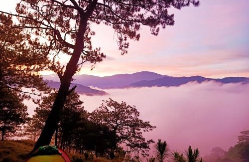 Bauko Otro | IYAMAN FARM NEAR SAGADA MOUNTAIN PROVINCE, PH