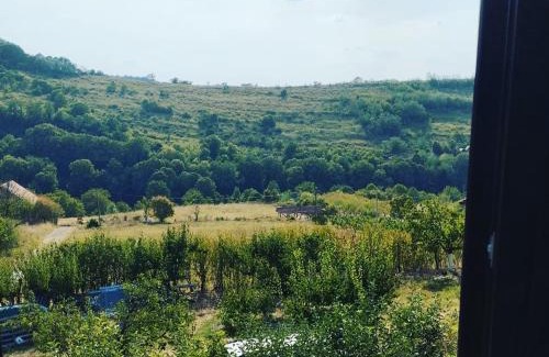 Petrovaradin Casa | Iza sedam gora