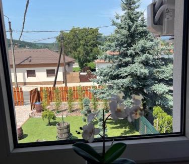 Bogacs Apartamento | Izabella Apartman Bogács