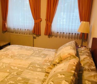 Trencianske Teplice Casa | Izba s kúpeľňou Florida