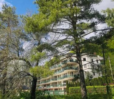 Trencianske Teplice Casa | Izba s kúpeľňou Florida