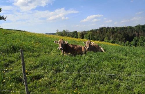 Altusried Apartamento | Jägerstüble