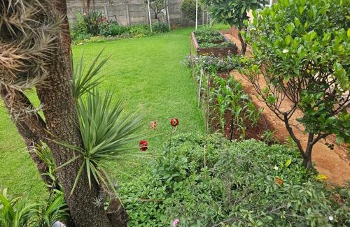 Greater Johannesburg Metropolitan Area Casa | J&M GuestHouse