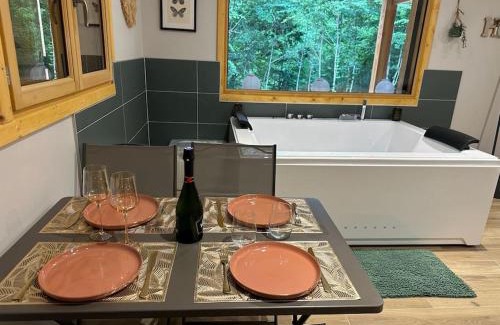 L'Esperou Apartamento | Jacuzzi en forêt