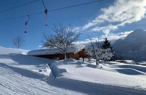 Abtenau Chalet De Esquí | Jagdhütte