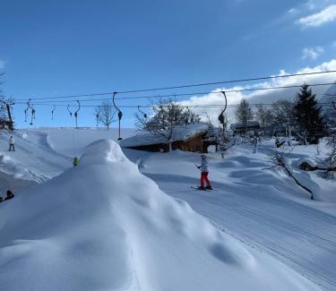 Abtenau Chalet De Esquí | Jagdhütte