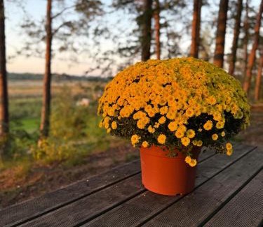 Plavniekkalns Casa | Jahbazaar Hideout