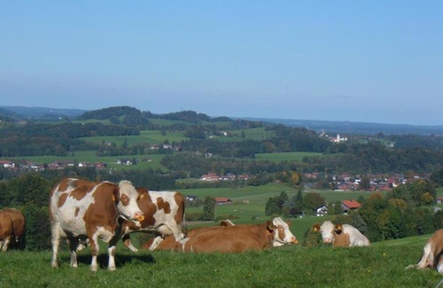 Frasdorf Casa | Jaklhof