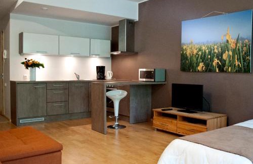 Parnu Apartamento | Jalaka Apartment with sauna