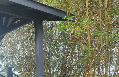 Ciudad de Belice Cabina | Jamaican Bamboo Cabin 1 bedroom Studio