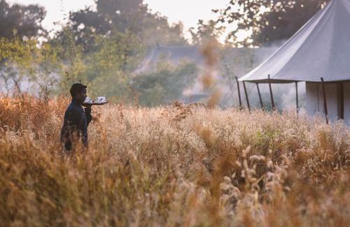 Turiya Otro | Jamtara Wilderness Camp - Pench National Park