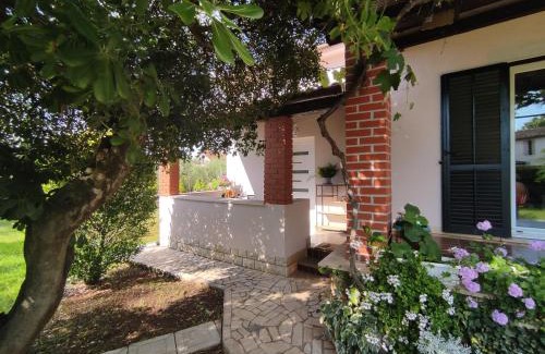 Kukci Apartamento | Jane