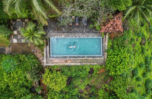 Weddagala Complejo | Jansen’s Bungalow Sinharaja Rainforest Retreat