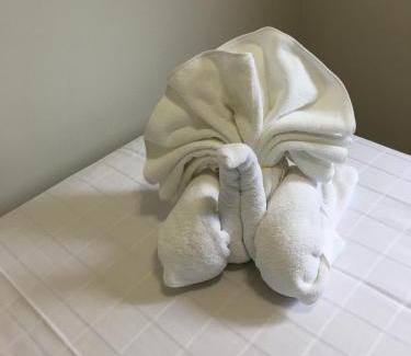 Niembro Apartamento | Jardín San Pelayo