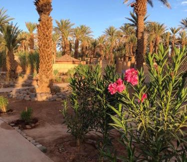 Zagora Casa | Jardin 128 Écolodge