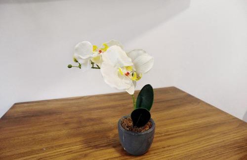 Casco Historico de Arucas Apartamento | Jardin Cardona