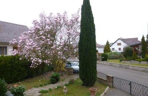 Lingolsheim Apartamento | Jardin Fleuri