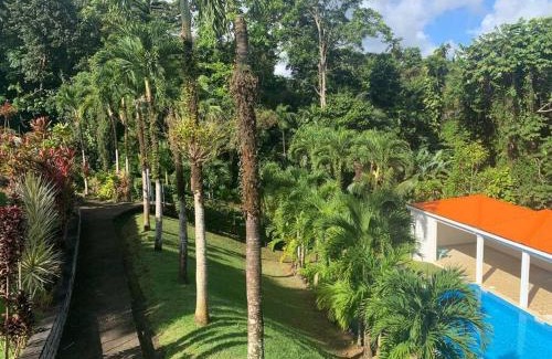 Circuit 1C1 Casa | Jardin Secret