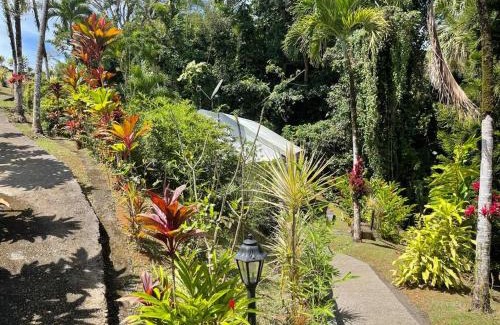 Circuit 1C1 Casa | Jardin Secret