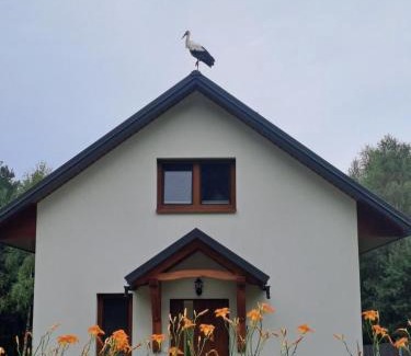 Tomaszow Lubelski Casa | Jaskółka Roztocze