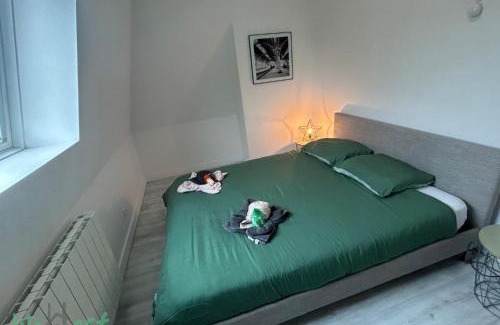 Saint-Maurice Pellevoisin Apartamento | Jasmine-Close to station,Grd Palais,Zénith&Center