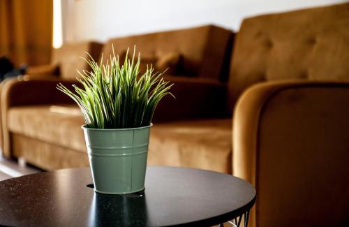Sventoji Apartamento | Jaukūs apartamentai su lauko baseinu, sporto sale ir vaikų žaidimų kambariu netoli jūros!