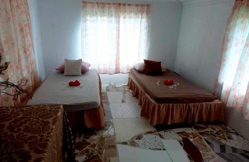 Taveuni Island East Apartamento | JayDees Homestay