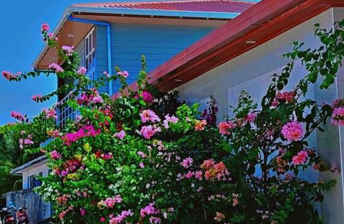 Milandhoo Casa | Jazz guest house